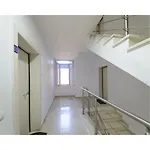 Apartamento Spike Jonze *